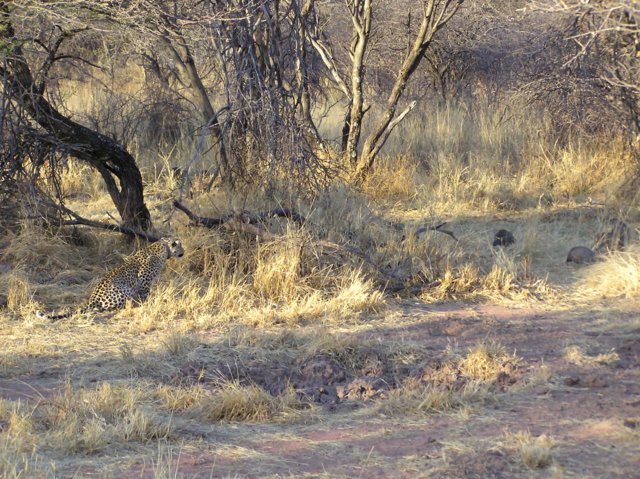 p1010173.jpg