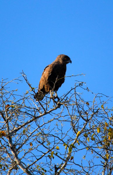 img_28861.jpg