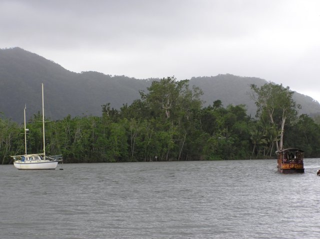 cap_tribulation__daintree_river2.jpg