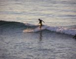 surfers_paradise2.jpg