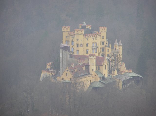 p1010300.jpg