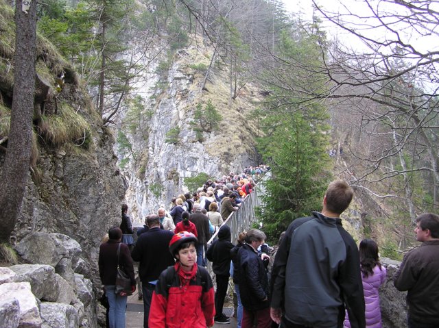 p1010311.jpg