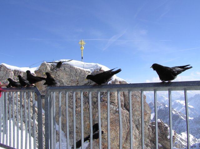 p1010343.jpg