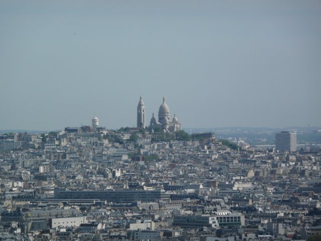p1000948.jpg