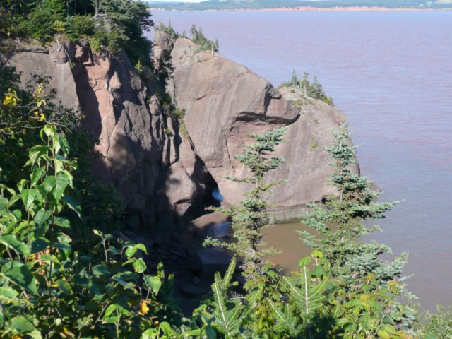 p1000539.jpg