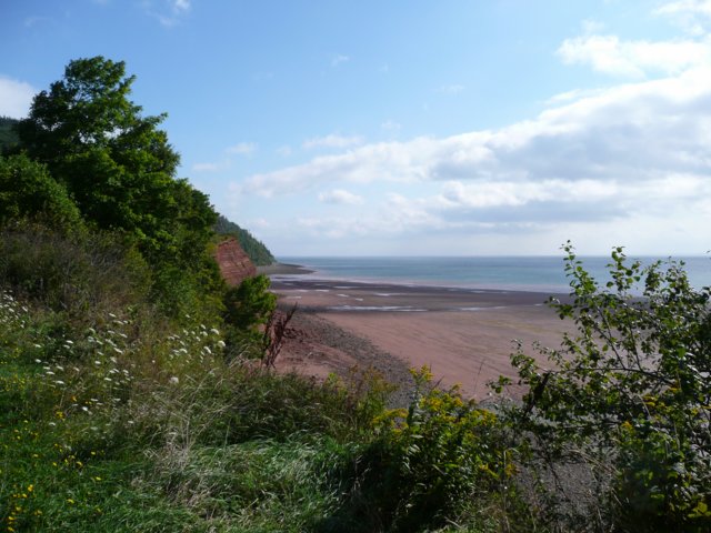 p1000476.jpg
