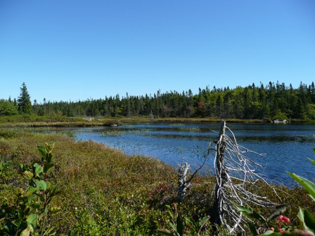 p1000538.jpg