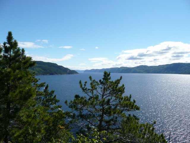 p1000402.jpg