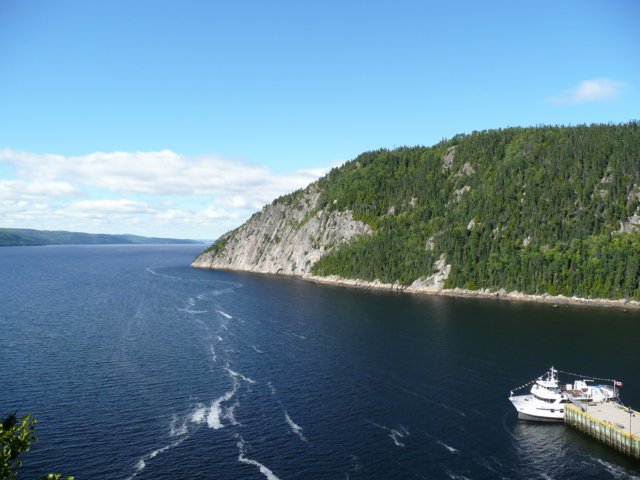 p1000405.jpg