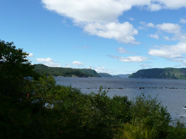 p1000406.jpg
