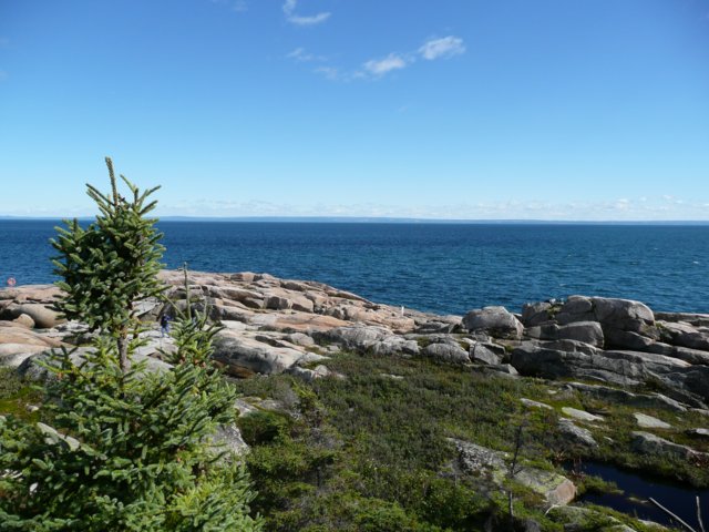 p1000416.jpg