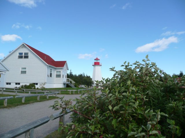 p1000417.jpg