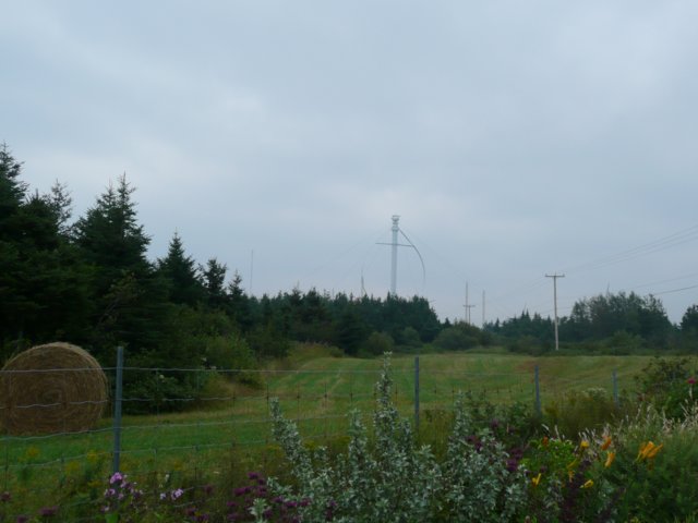 p1000425.jpg