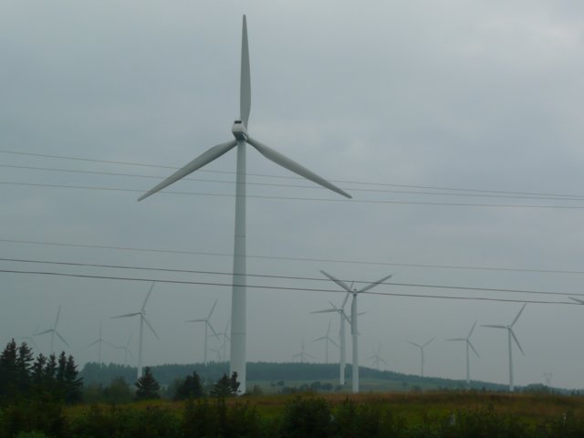 p1000426.jpg