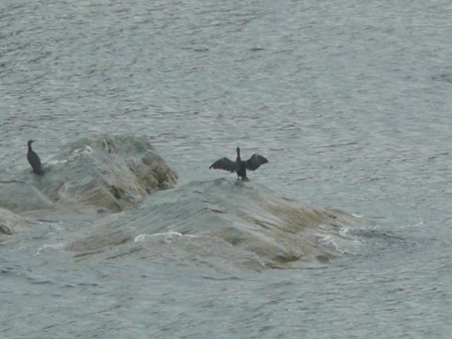 p1000433.jpg