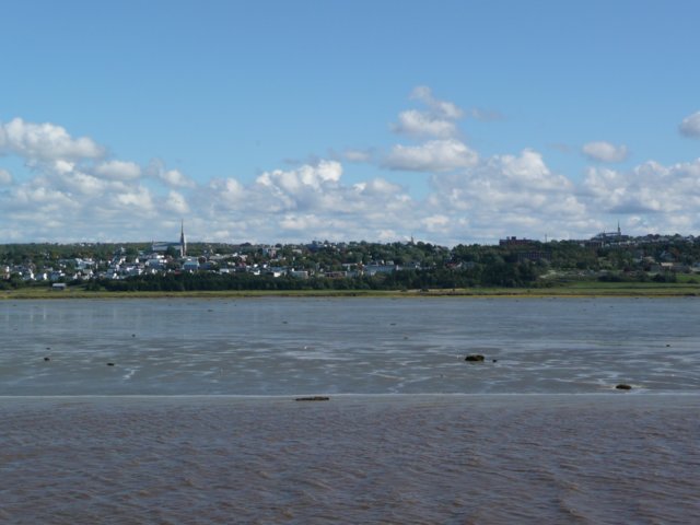 p1000587.jpg