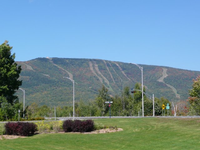 p1000594.jpg
