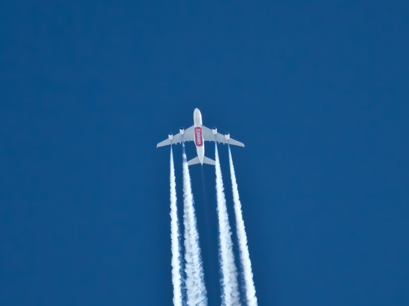 a3805.jpg