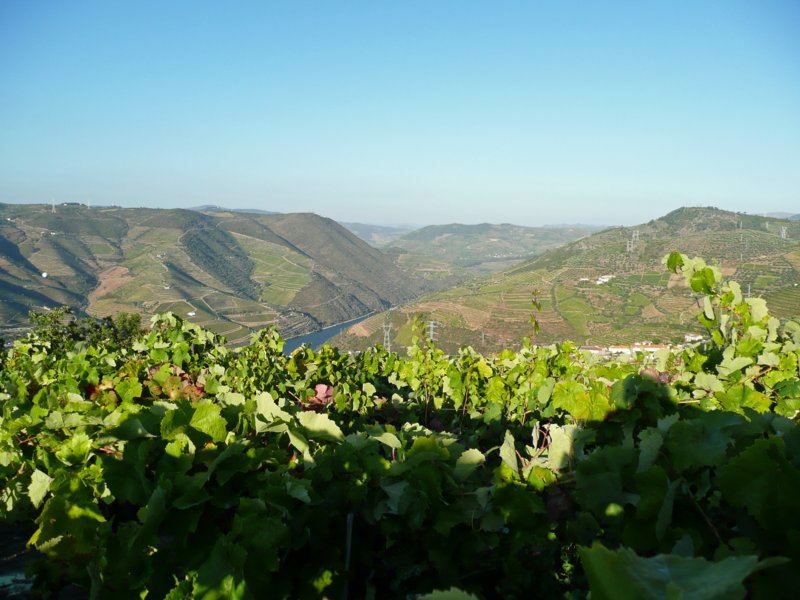 portugal020.jpg