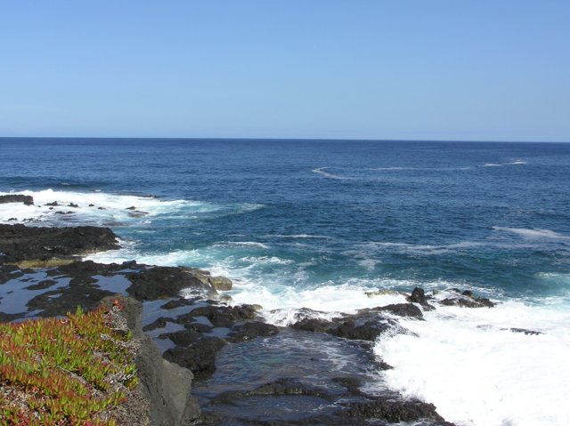 p1010033.jpg