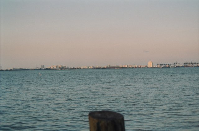 27740087.jpg